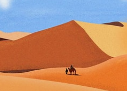 沙漠艺术 沙漠艺术