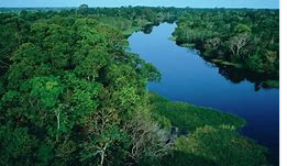 亚马孙河 亚马孙河