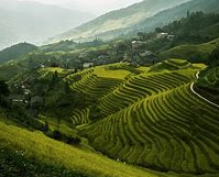 梯田