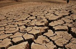 旱灾