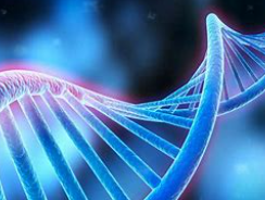 DNA存储技术&nbsp;