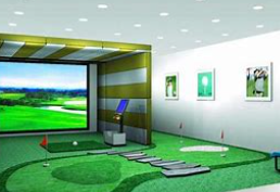 高尔夫模拟器 高尔夫模拟器